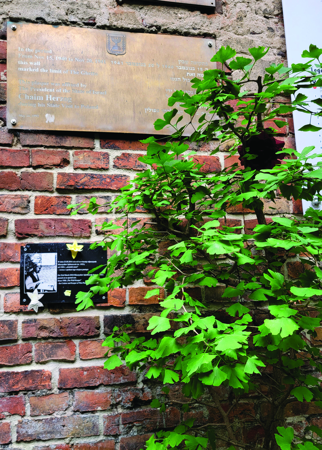 Warsaw Ghetto Wall