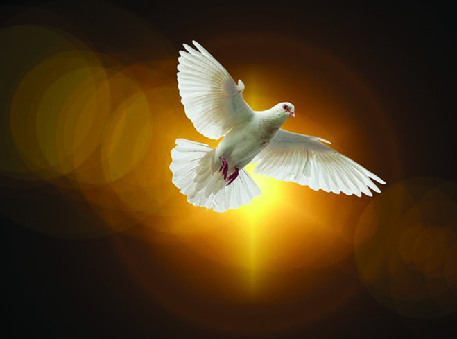 Dove Peace Faith 4664706 1280