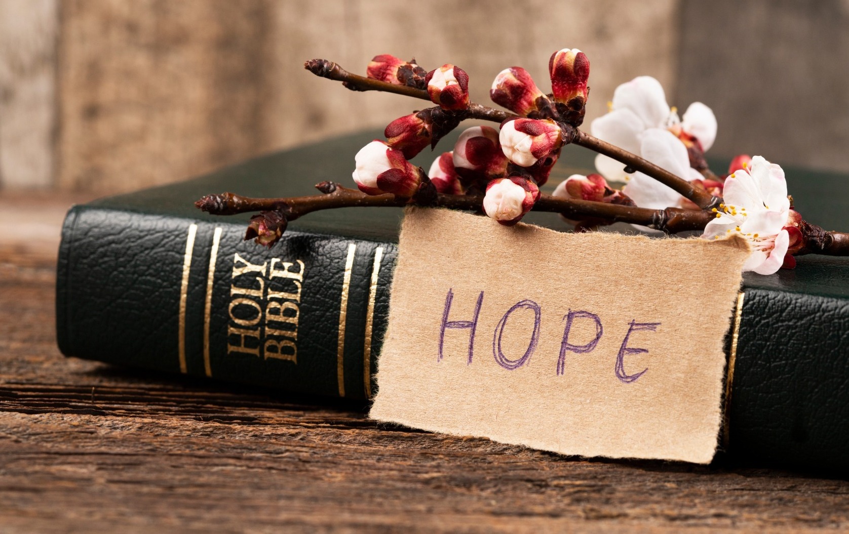 Bible Hope Flower Image