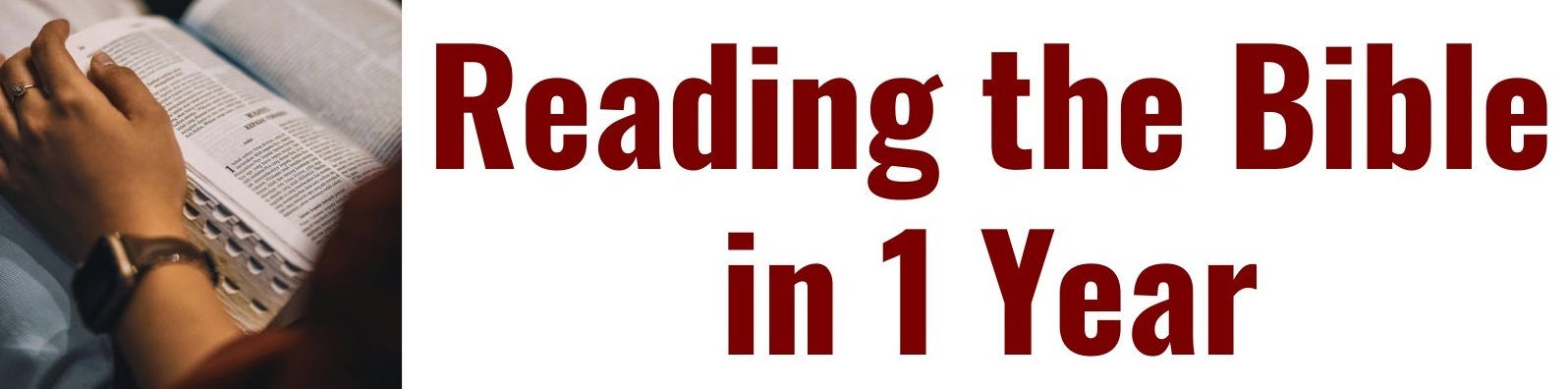 Reading The Bible In A Year 2026 Banner