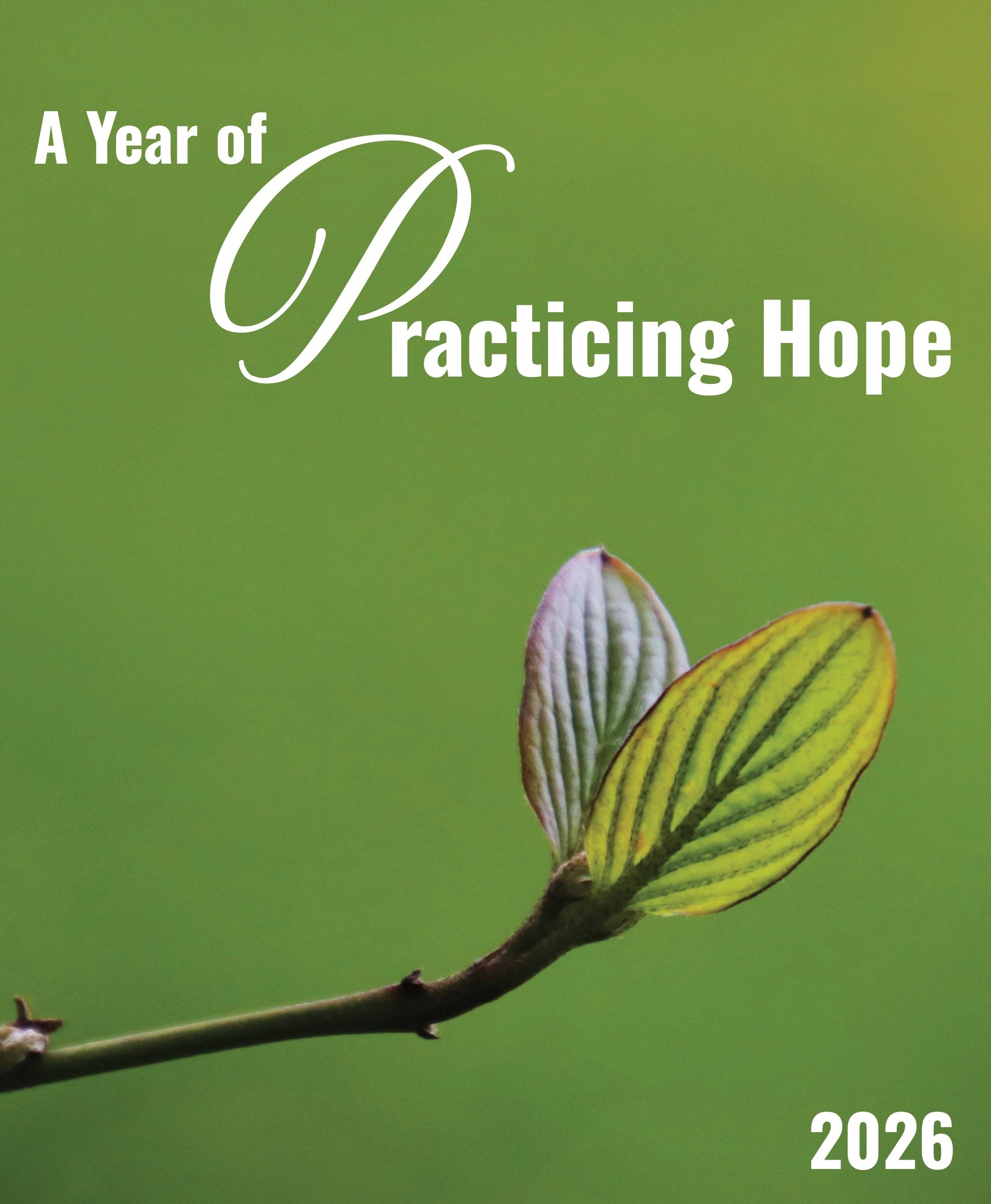 Practicing Hope Booklet Cover Only