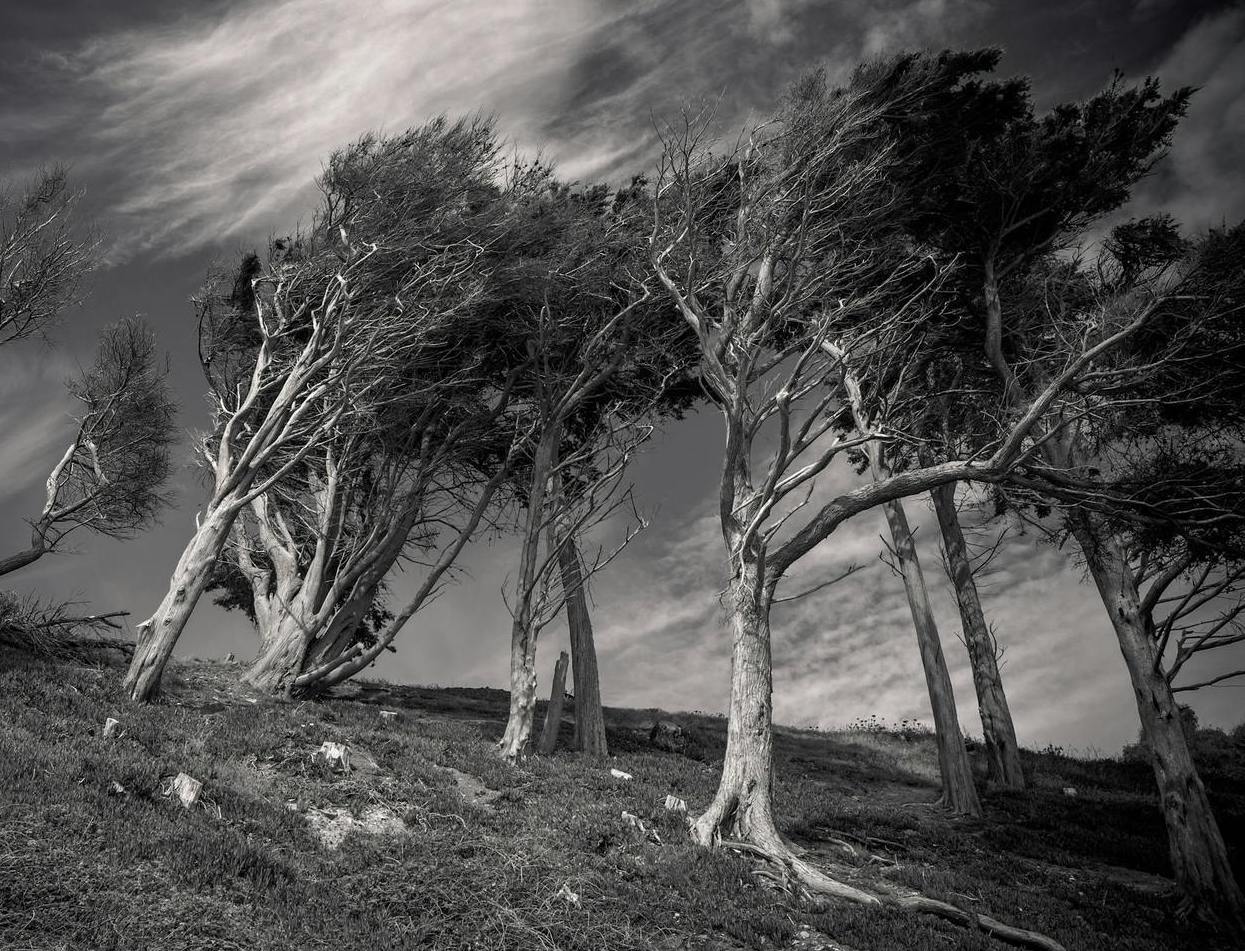 Pexels Jd Designs 107926552 19035525