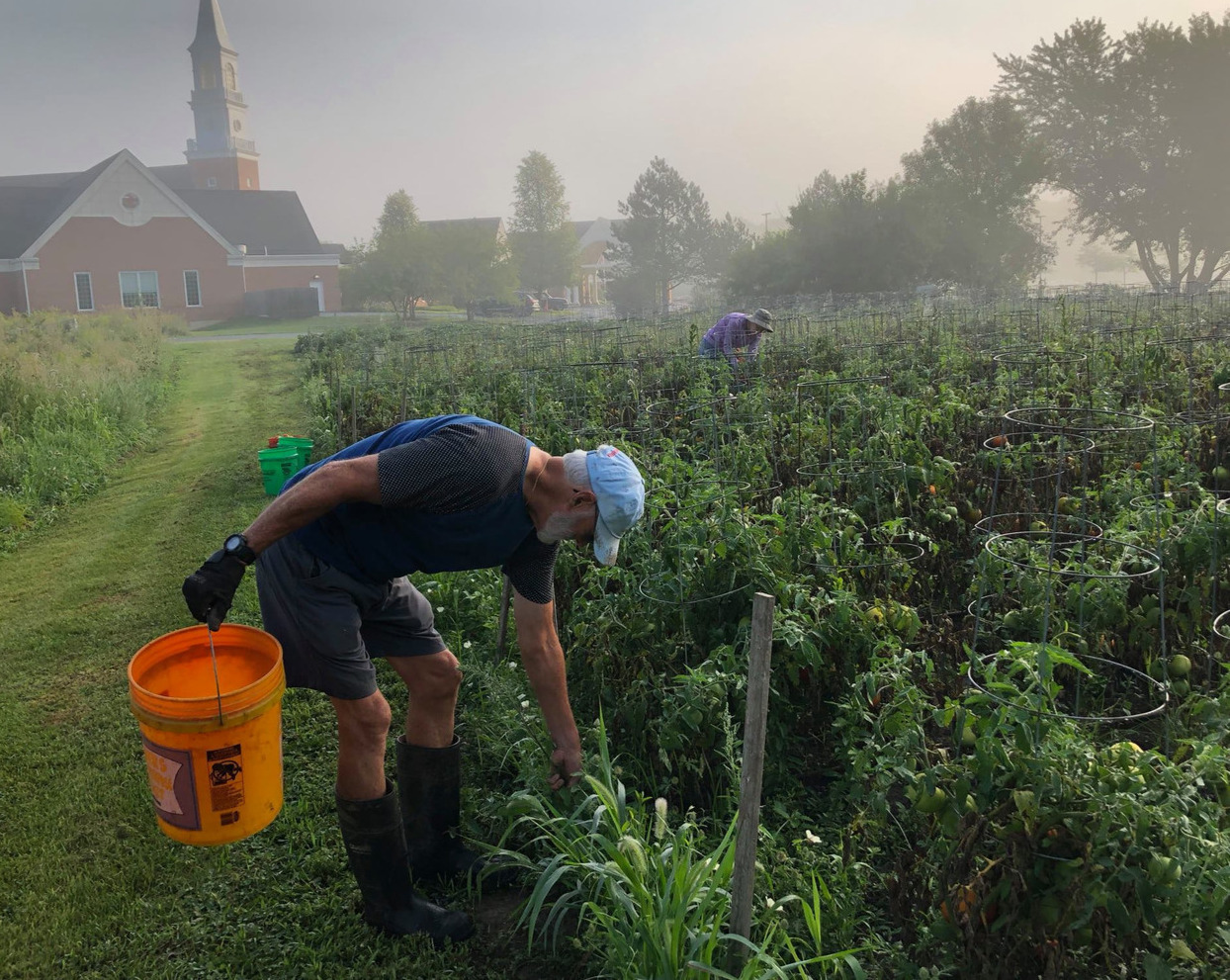 Bumc Gardner Mist