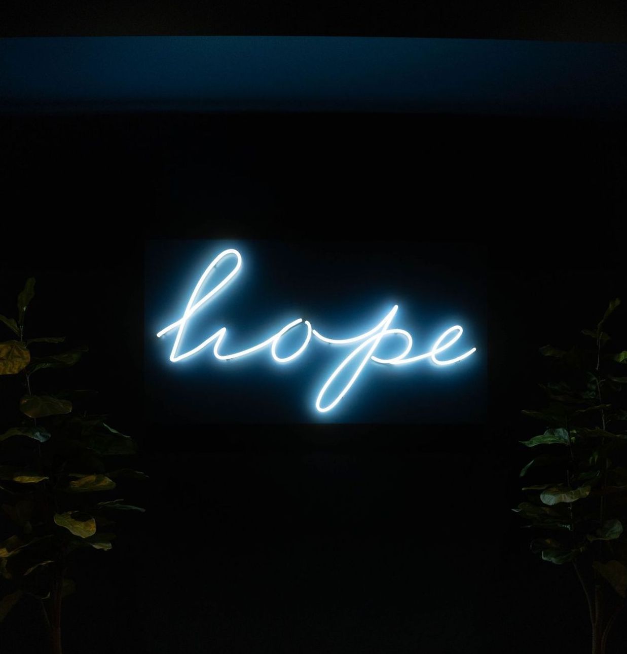 Hopeneon