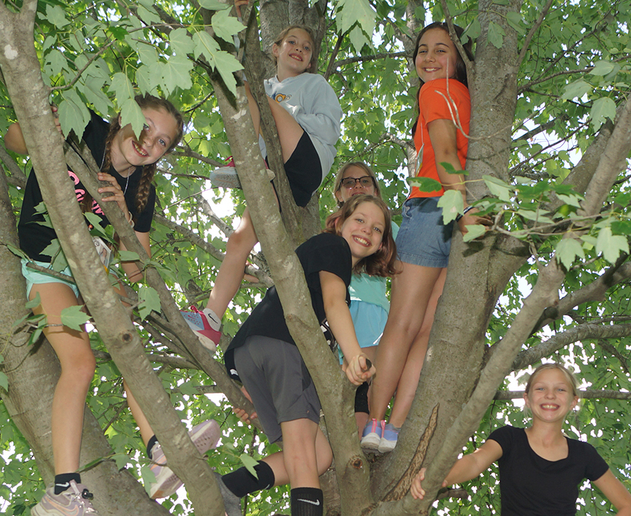 Tree Climb Camp Smaller