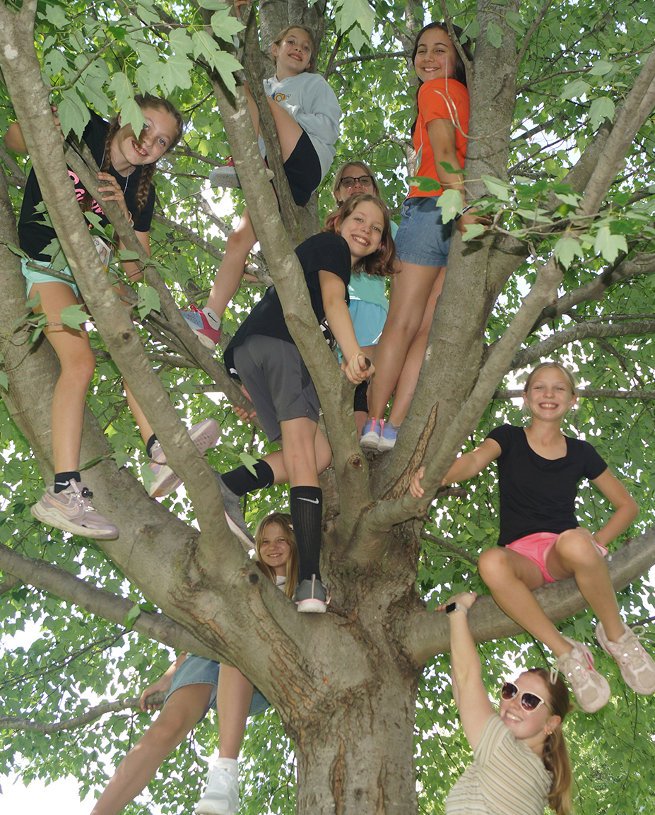 Tree Climb Camp Smaller