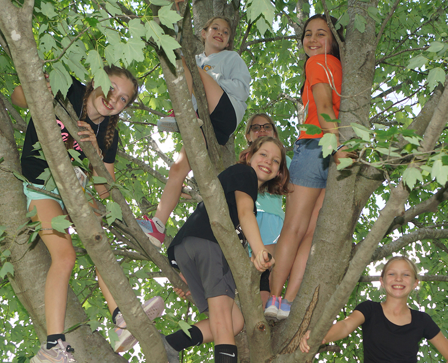 Tree Climb Camp Smaller