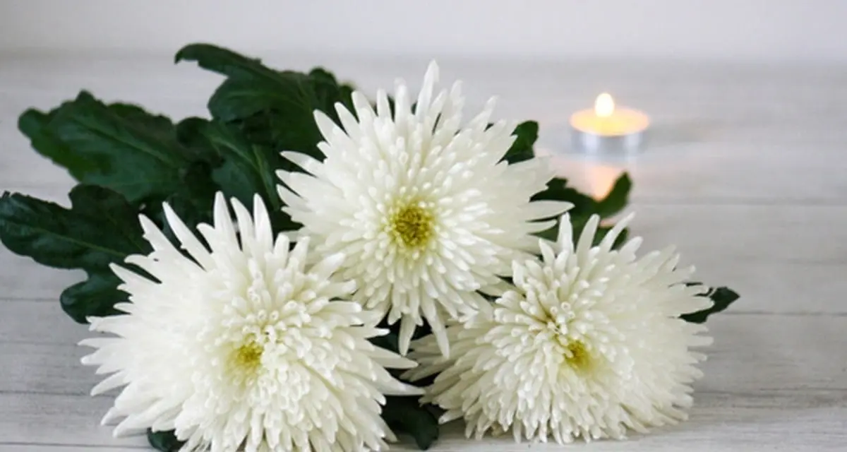 In Sympathy: Janice Conner - Northern Illinois Annual Conference
