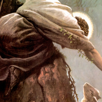 Soord The Lost Sheep Md