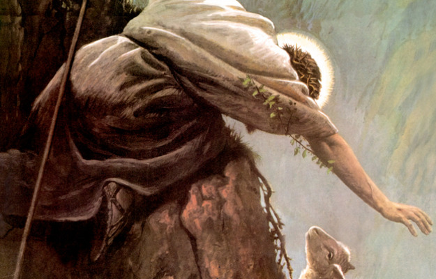 Soord The Lost Sheep Md