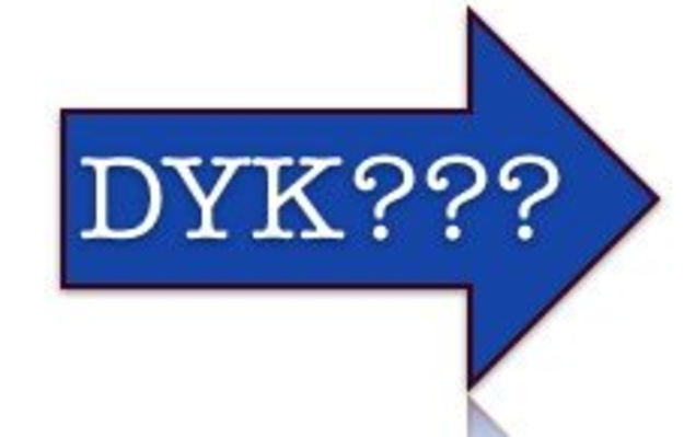 Dyk